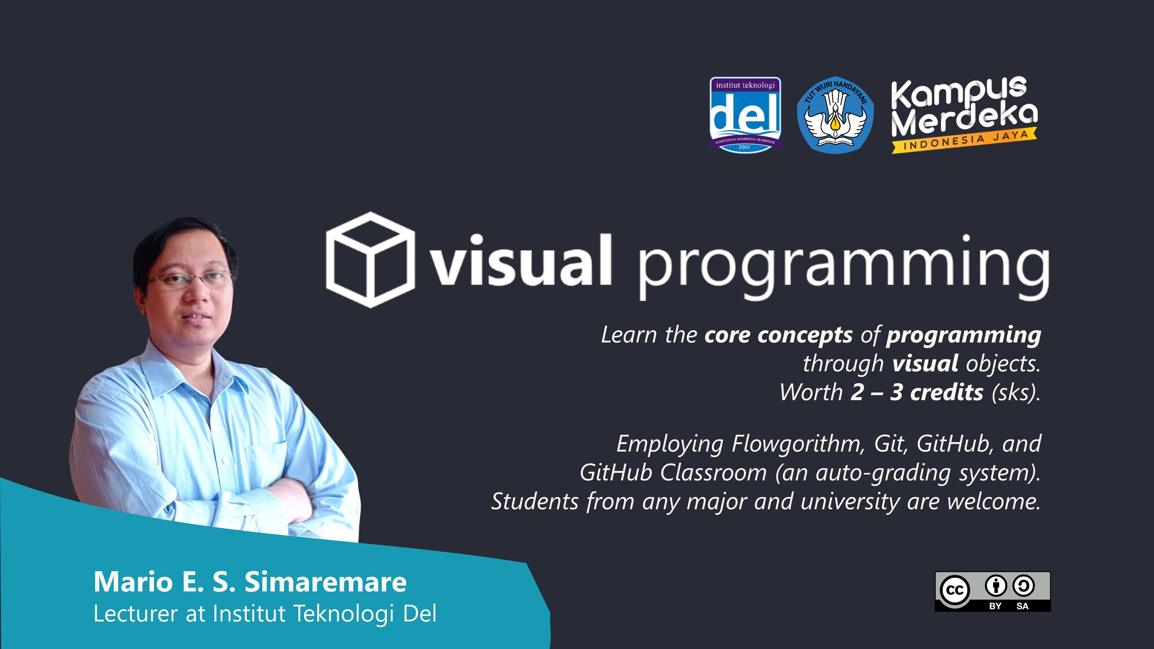 Visual Programming - Cover