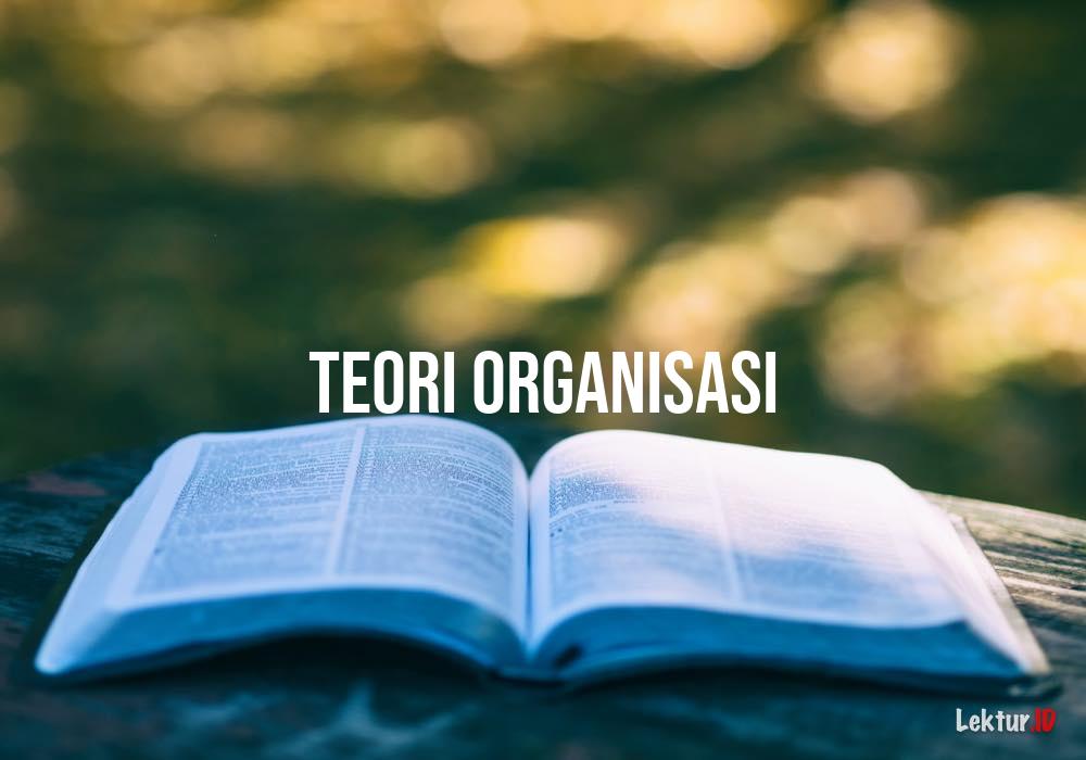 TEORI ORGANISASI