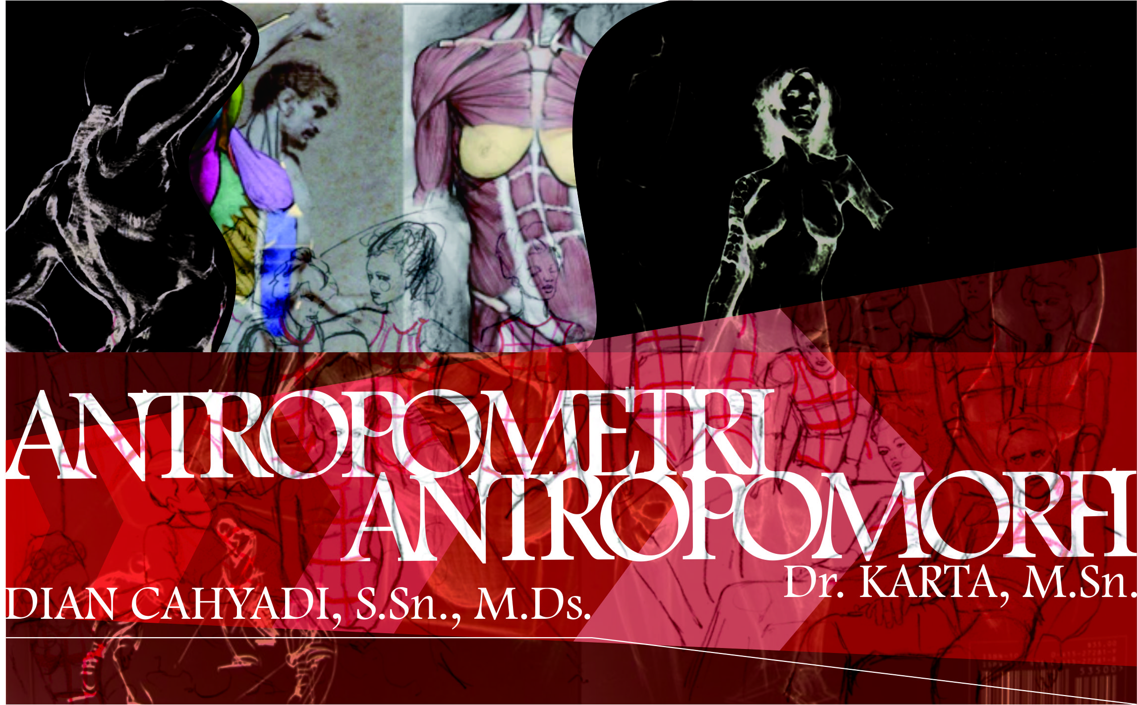 ANTROPOMETRI &amp; ANTROPOMORFI