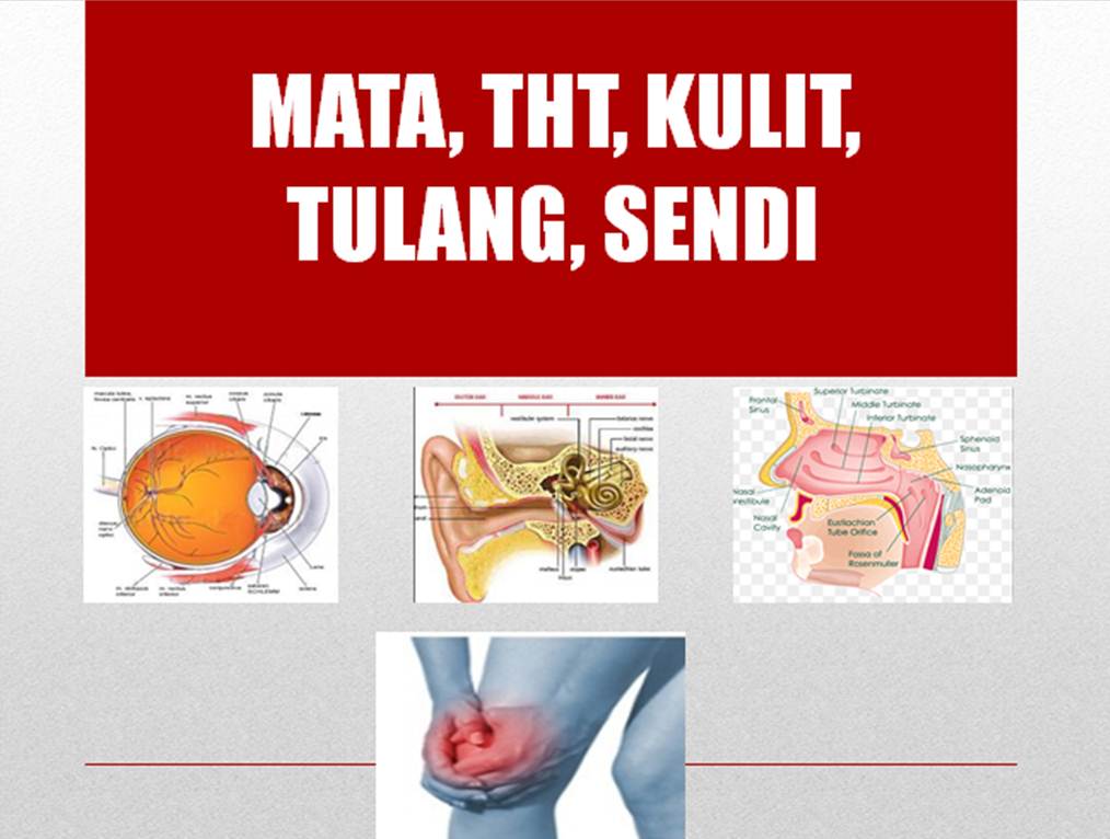 Farmakoterapi Gangguan Mata,THT,Kulit,Tulang&amp;Sendi